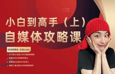 达宝红了-自媒体小白到高手攻略课