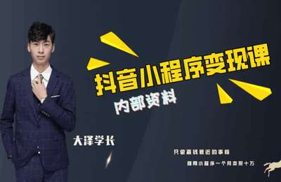 雨泽学长-抖音小程序变现课程系列