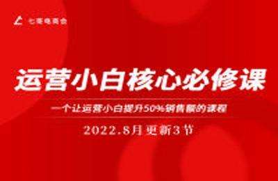 七哥电商会-搜索解析