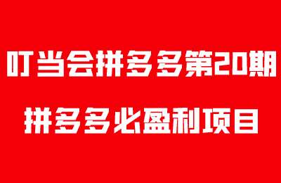 叮当会拼多多第20期-拼多多必盈利项目