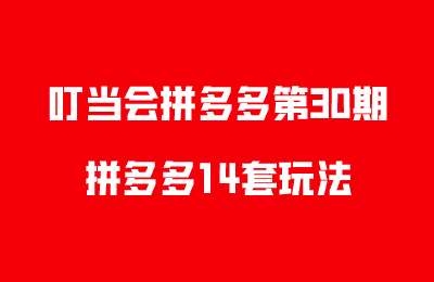 叮当会拼多多第30期-拼多多14套玩法