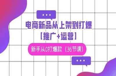 墨涵电商-淘宝新品从上架到打爆推广+运营（采集课不保证课程质量和完整性）