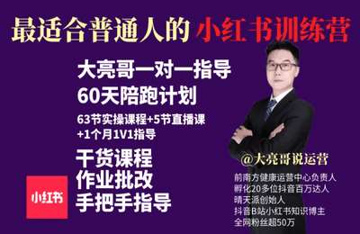 大亮哥-小红书IP孵化1V1训练营