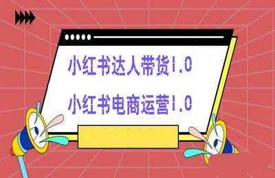 快赢联盟-小红书达人带货1.0+电商运营1.0