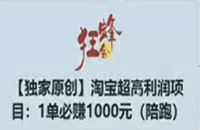 狂蜂会-淘宝独家超高利润课程（采集课不保证课程质量和完整性）