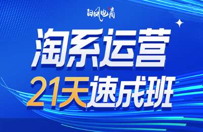 白凤淘宝第43期-淘宝关键词推广3.0(2025年9月更新)(8节)