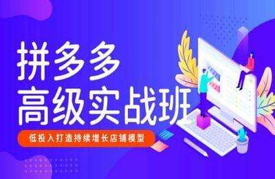 美迪电商-拼多多高级实战班（采集课不保证课程质量和完整性）