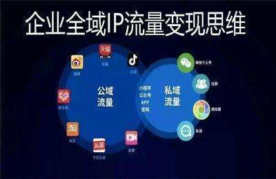 菲尼传媒-小红书个人IP全域流量变现（新人篇）+企业全域IP流量变现思维