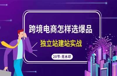 【采集课不保证课程的质量和完整性】蒙卡-跨境电商如何选爆品，独立站建站实操
