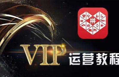 拼多多商学院-拼多多开店小白到大神VIP实战教程
