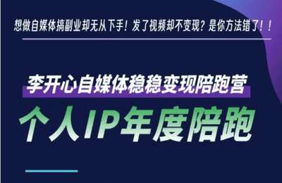 李开心-IP陪跑训练营
