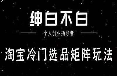 绅白不白-淘宝冷门选品矩阵玩法（采集课不保证课程质量和完整性）
