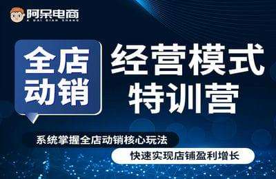 【全音频】阿呆电商-全店动销经营模式特训营线下课录音课程（采集课不保证课程质量和完整性）