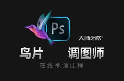 大师之路-鸟片调图师（初级+中级）