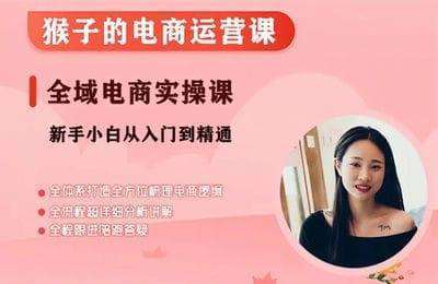 猴子课堂-小红书电商运营课