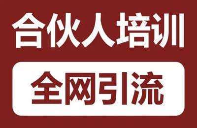 生财合伙人-全网引流【60节课】