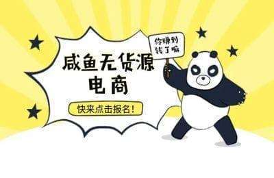 紫金网络-咸鱼无货源电商课6.0