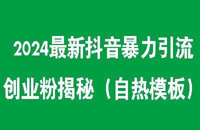 2024最新抖音暴力引流创业粉揭秘（自热模板）【4节课+课程资料】