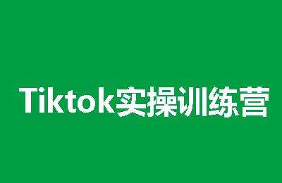 Tiktok实操训练营【24节课】