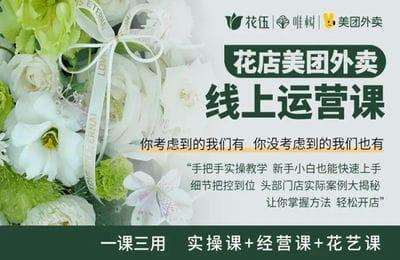 唯树-零基础也能上手的运营课【34章216节课】