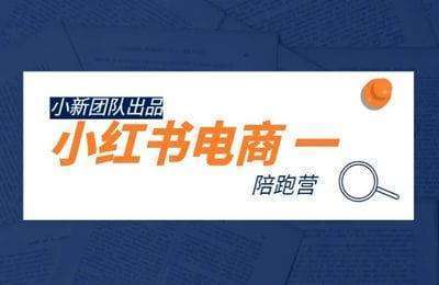 小新团队-小红书电商陪跑营【6章18节课】