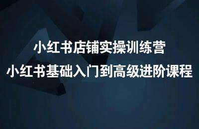 小红书店铺实操训练营-小红书基础入门到高级进阶课程【2章70节课】