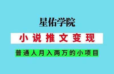 星佑学院-小说推文变现【20节课】