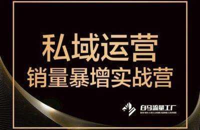 白马智付-私域运营销量暴增实战营【23节课】