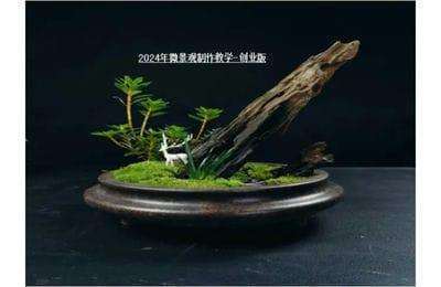 藓然代刚-2024年微景观培训+2024年保洁擦玻璃课程【2门34节课】