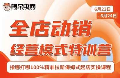 阿呆电商-2024年6月23线下课：全店动销经营模式特训-纯音频【4节课+资料】