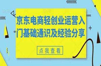 京东电商轻创业运营入门基础通识及经验分享【11节课】