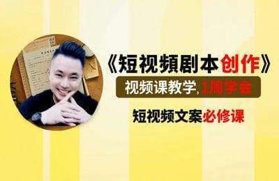 冠阿哥-短视頻拓客激励方案+演员替身+自媒体合作计划【3套14节课】