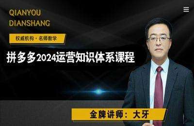 千优商学院-拼多多2024运营知识体系课程【24节课】-采集课不保证课程质量不更新
