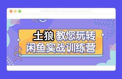 土狼副业-土狼带你玩转闲鱼【2章20节课】