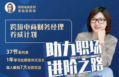 多米跨境财税-跨境电商财务经理养成计划【7章37节课】
