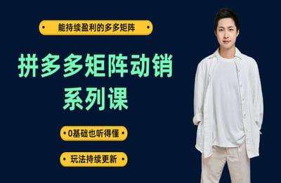 大王真电商-拼多多矩阵动销课程【25节课】-采集课不保证课程质量不更新