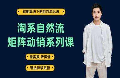 大王真电商-淘系自然流矩阵动销系列课【26节课】-采集课不保证课程质量不更新