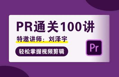 摄脉微课堂-PR通关100讲+PR视频剪辑课【2套110节课】