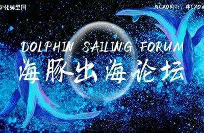 数字化转型-2024突围主题内容+CXO修炼+供应链创新+海豚出海【4章28节课】