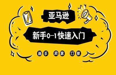 苏樱聊亚马逊-亚马逊新手0-1快速入门【12节课】