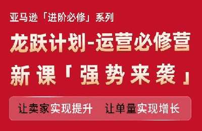 跨境移花宫-亚马逊进阶必修系列，龙跃计划-运营必修营新课，让卖家实现提升 让单量实现增长【13节课】