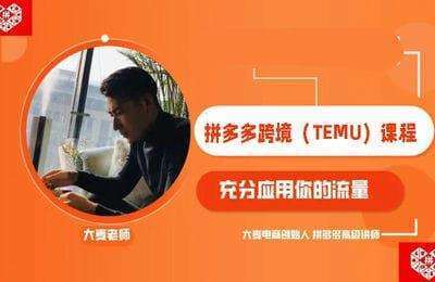 大麦家课堂-拼多多跨境（TEMU）课程【19节课】