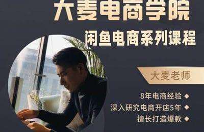 大麦家课堂-闲鱼电商系列课程【10节课】