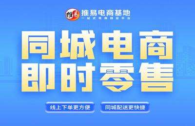 推易电商-同城电商即时零售（202408）【2章41节课】