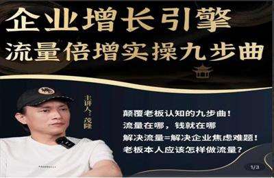 电商掌柜杨茂隆-企业增长引擎流量倍增实操九步曲【39节课】