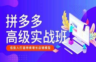 美迪电商-拼多多高级实战班（202408版）【6节课】