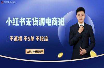 诺思星-小红书无货源电商【45节】