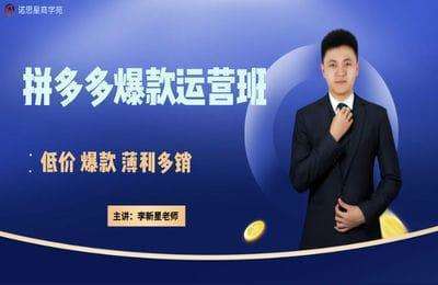 诺思星-拼多多运营班（怀念版）【111节】