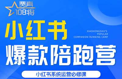 贾真电商-小红书打爆款实战课【15节】