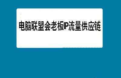 电脑联盟会老板IP流量供应链【60节课】